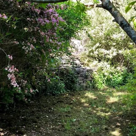 Prázdninový dům L'ilot Secret De Courbouzon - Disponible A La Location Courbouzon (Jura)